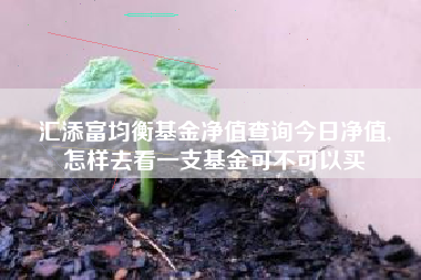 汇添富均衡基金净值查询今日净值,
怎样去看一支基金可不可以买
