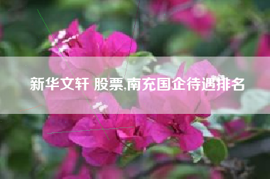新华文轩 股票,南充国企待遇排名