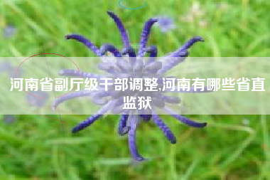 河南省副厅级干部调整,河南有哪些省直监狱