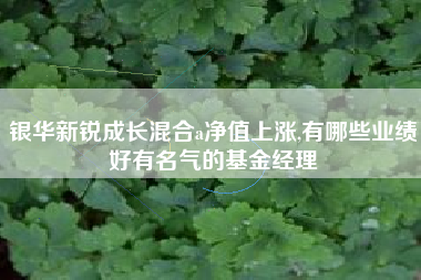 银华新锐成长混合a净值上涨,有哪些业绩好有名气的基金经理