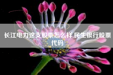 长江电力这支股票怎么样,民生银行股票代码