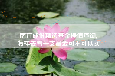 南方成份精选基金净值查询,
怎样去看一支基金可不可以买