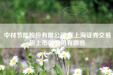 中材节能股份有限公司,在上海证券交易所上市的公司有哪些