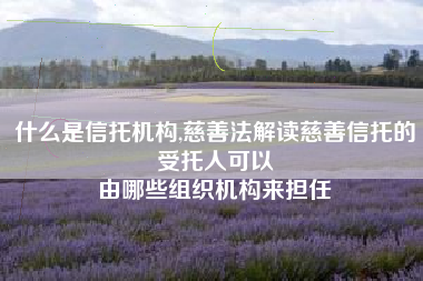 什么是信托机构,慈善法解读慈善信托的受托人可以
由哪些组织机构来担任 什么是信托机构,慈善法解读慈善信托的受托人可以
由哪些组织机构来担任