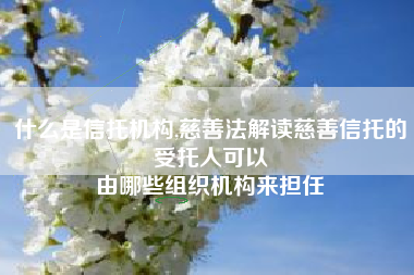 什么是信托机构,慈善法解读慈善信托的受托人可以
由哪些组织机构来担任 什么是信托机构,慈善法解读慈善信托的受托人可以
由哪些组织机构来担任