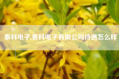 泰科电子,泰科电子有限公司待遇怎么样