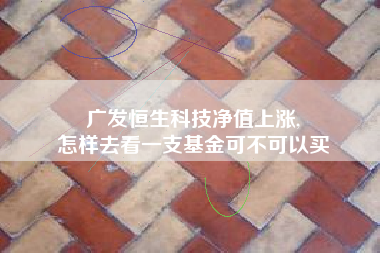 广发恒生科技净值上涨,
怎样去看一支基金可不可以买