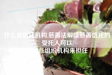 什么是信托机构,慈善法解读慈善信托的受托人可以
由哪些组织机构来担任 什么是信托机构,慈善法解读慈善信托的受托人可以
由哪些组织机构来担任