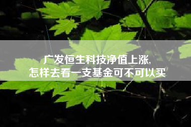 广发恒生科技净值上涨,
怎样去看一支基金可不可以买