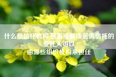 什么是信托机构,慈善法解读慈善信托的受托人可以
由哪些组织机构来担任 什么是信托机构,慈善法解读慈善信托的受托人可以
由哪些组织机构来担任