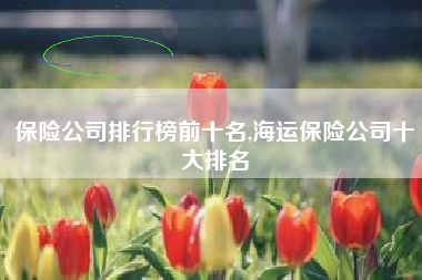 保险公司排行榜前十名,海运保险公司十大排名