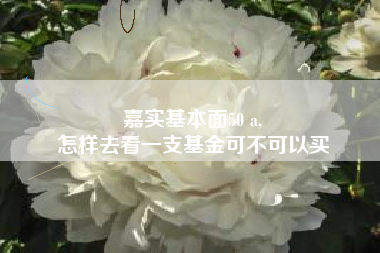 嘉实基本面50 a,
怎样去看一支基金可不可以买