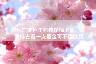 广发恒生科技净值上涨,
怎样去看一支基金可不可以买