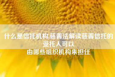 什么是信托机构,慈善法解读慈善信托的受托人可以
由哪些组织机构来担任 什么是信托机构,慈善法解读慈善信托的受托人可以
由哪些组织机构来担任
