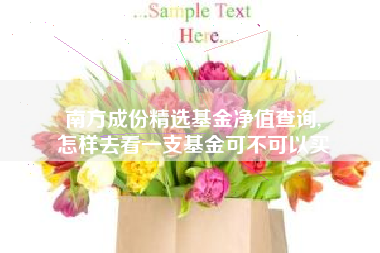 南方成份精选基金净值查询,
怎样去看一支基金可不可以买