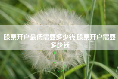股票开户最低需要多少钱,股票开户需要多少钱