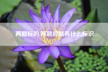 两融标的,两融股票有什么标识