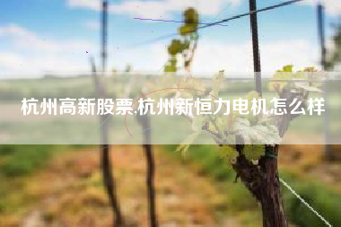 杭州高新股票,杭州新恒力电机怎么样