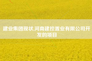 建业集团现状,河南建控置业有限公司开发的项目