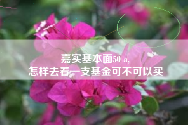 嘉实基本面50 a,
怎样去看一支基金可不可以买