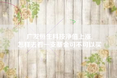 广发恒生科技净值上涨,
怎样去看一支基金可不可以买