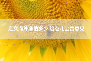 嘉实海外净值多少,给点儿宝贵意见