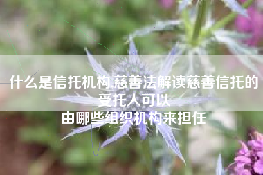 什么是信托机构,慈善法解读慈善信托的受托人可以
由哪些组织机构来担任 什么是信托机构,慈善法解读慈善信托的受托人可以
由哪些组织机构来担任