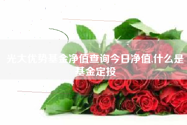 光大优势基金净值查询今日净值,什么是基金定投