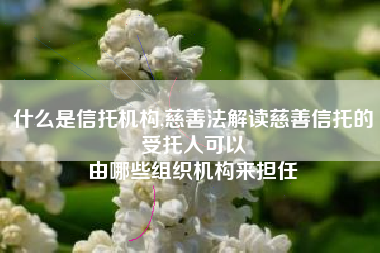 什么是信托机构,慈善法解读慈善信托的受托人可以
由哪些组织机构来担任 什么是信托机构,慈善法解读慈善信托的受托人可以
由哪些组织机构来担任