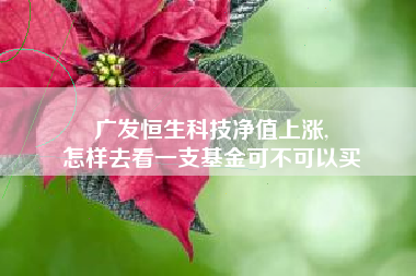 广发恒生科技净值上涨,
怎样去看一支基金可不可以买