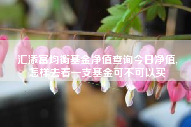 汇添富均衡基金净值查询今日净值,
怎样去看一支基金可不可以买