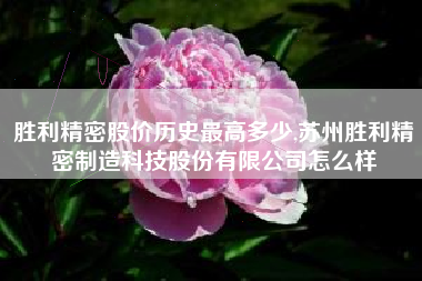 胜利精密股价历史最高多少,苏州胜利精密制造科技股份有限公司怎么样