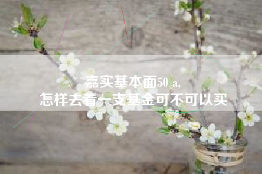 嘉实基本面50 a,
怎样去看一支基金可不可以买