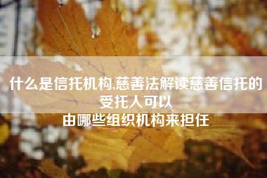 什么是信托机构,慈善法解读慈善信托的受托人可以
由哪些组织机构来担任 什么是信托机构,慈善法解读慈善信托的受托人可以
由哪些组织机构来担任