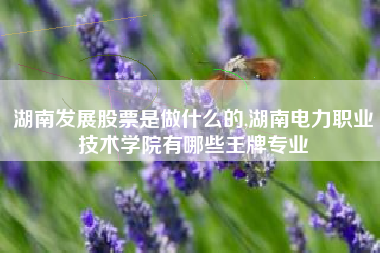 湖南发展股票是做什么的,湖南电力职业技术学院有哪些王牌专业