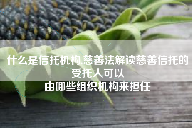 什么是信托机构,慈善法解读慈善信托的受托人可以
由哪些组织机构来担任 什么是信托机构,慈善法解读慈善信托的受托人可以
由哪些组织机构来担任