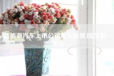 新能源汽车上市公司龙头股票,国改第一龙头