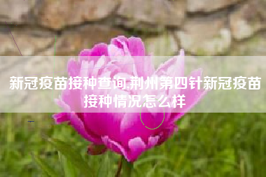 新冠疫苗接种查询,荆州第四针新冠疫苗接种情况怎么样