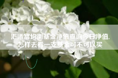 汇添富均衡基金净值查询今日净值,
怎样去看一支基金可不可以买