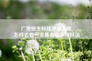 广发恒生科技净值上涨,
怎样去看一支基金可不可以买