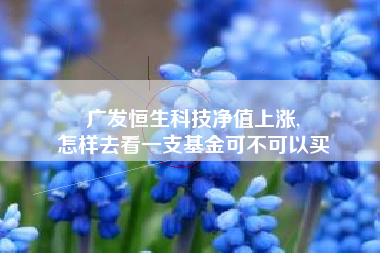 广发恒生科技净值上涨,
怎样去看一支基金可不可以买