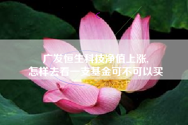 广发恒生科技净值上涨,
怎样去看一支基金可不可以买