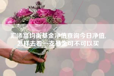 汇添富均衡基金净值查询今日净值,
怎样去看一支基金可不可以买