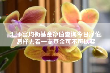 汇添富均衡基金净值查询今日净值,
怎样去看一支基金可不可以买