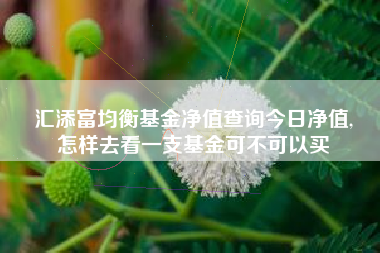 汇添富均衡基金净值查询今日净值,
怎样去看一支基金可不可以买