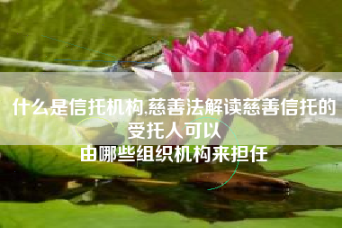 什么是信托机构,慈善法解读慈善信托的受托人可以
由哪些组织机构来担任 什么是信托机构,慈善法解读慈善信托的受托人可以
由哪些组织机构来担任