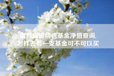 南方成份精选基金净值查询,
怎样去看一支基金可不可以买