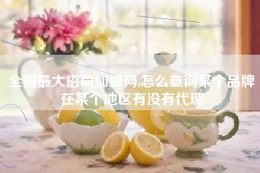 全国最大招商加盟网,怎么查询某个品牌在某个地区有没有代理