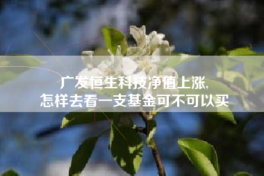 广发恒生科技净值上涨,
怎样去看一支基金可不可以买