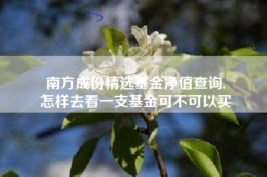 南方成份精选基金净值查询,
怎样去看一支基金可不可以买